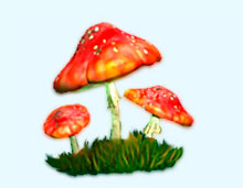 magic forest Logo